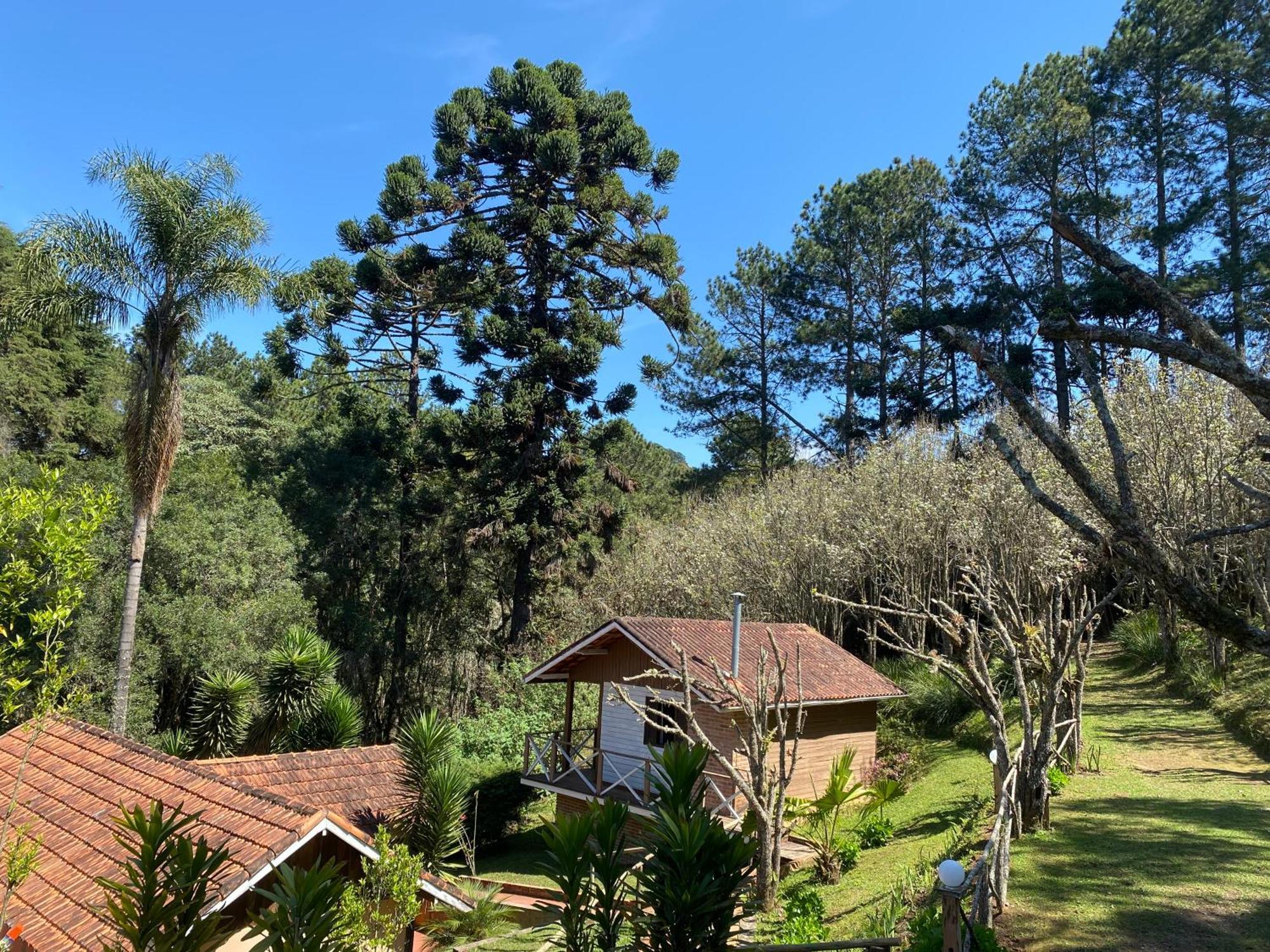 Sotaque Mineiro