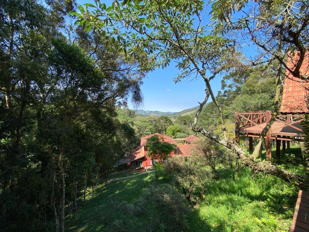 Sotaque Mineiro
